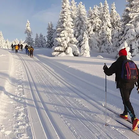 Gæstehus Maier 4*