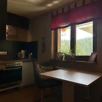 Maier באייריש אייסנשטיין