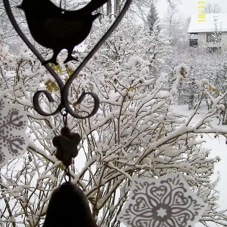 Maier Pensjonat Bayerisch Eisenstein